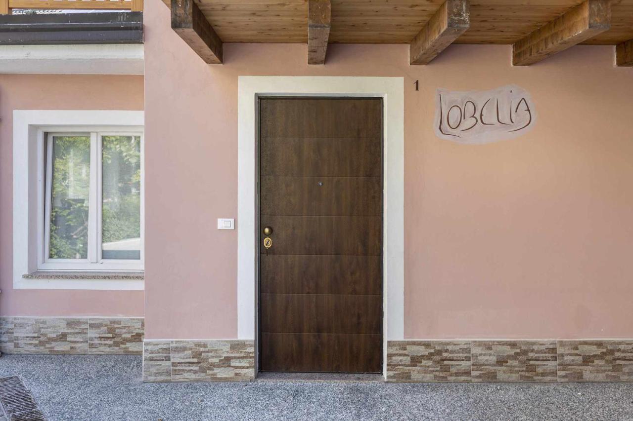Carzano  Agritur Horizon 아파트 외부 사진